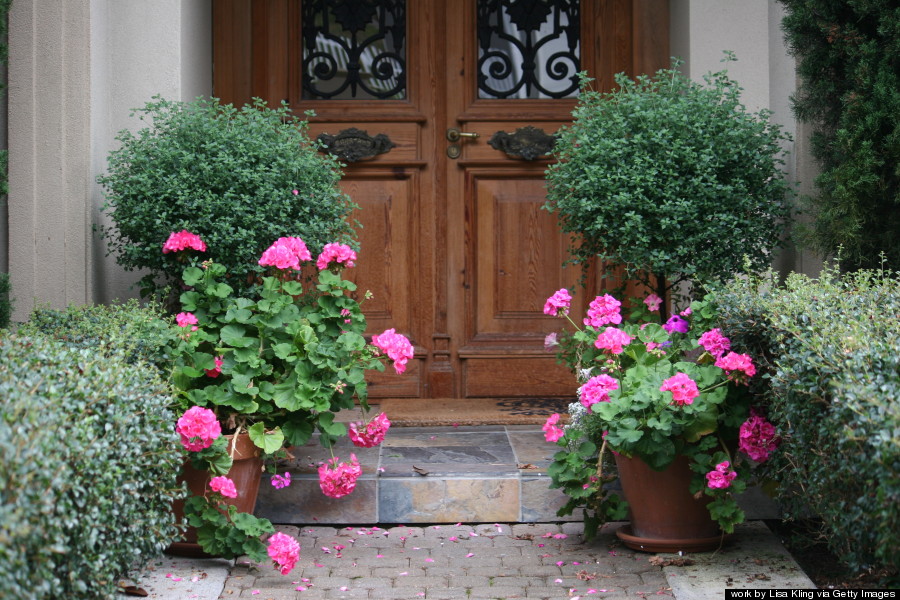 potted plants entryway