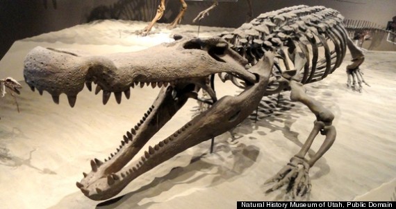 ancient crocodiles dinosaurs