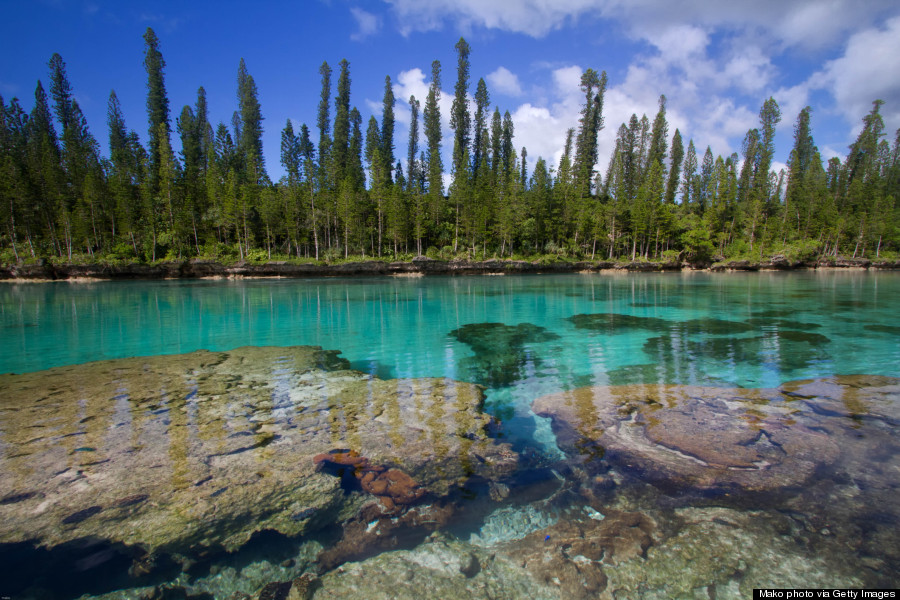 new caledonia