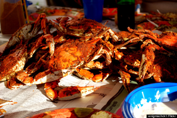 crab feast baltimore