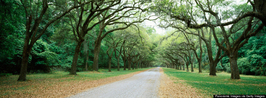 wormsloe historic site