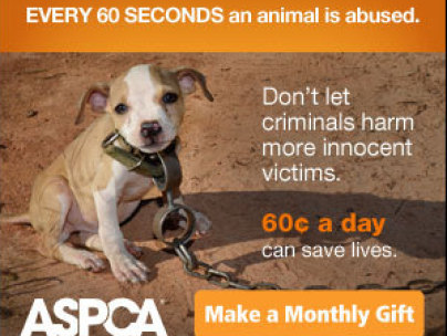 aspca