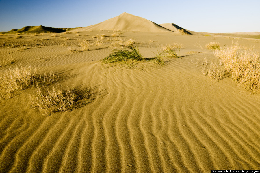 bruneau dunes