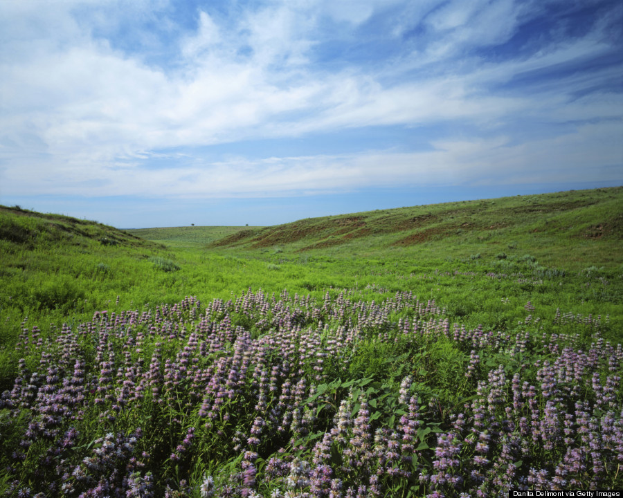 prairie kansas