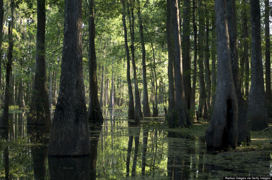 lake martin louisiana