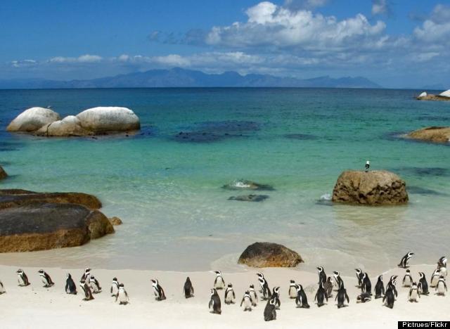 15 Reasons Cape Town Should Be No 1 On Your Travel Agenda Huffpost South Africa 7107