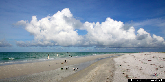 anna maria island florida