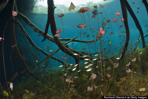 cenote carwash