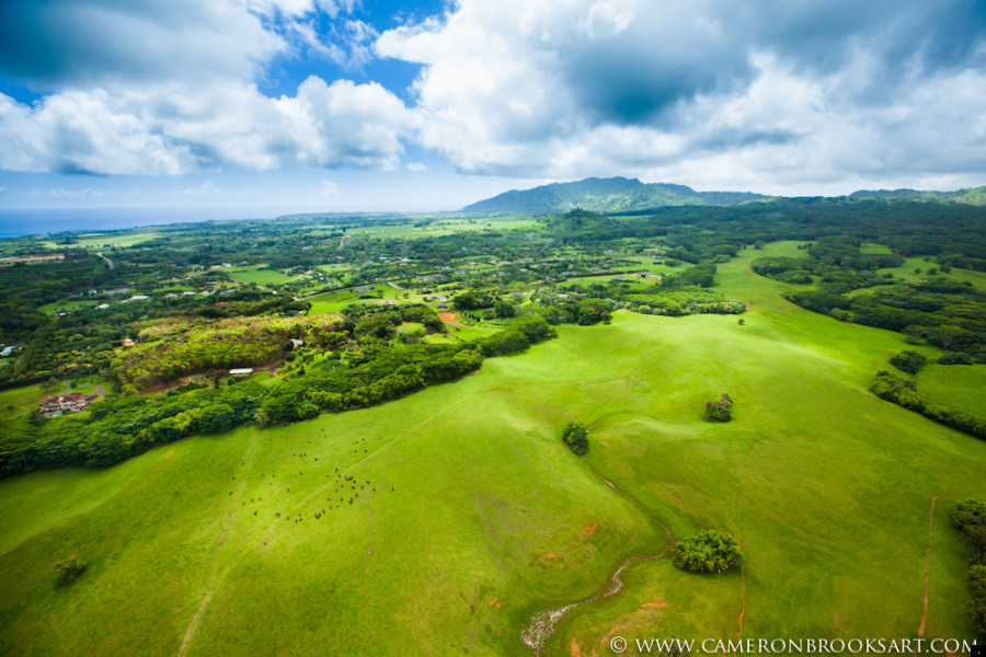 green expanse