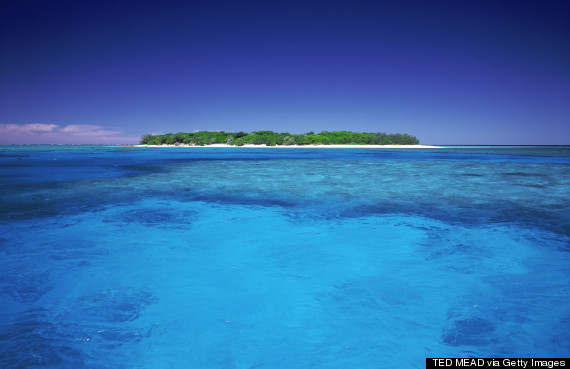 lady musgrave island