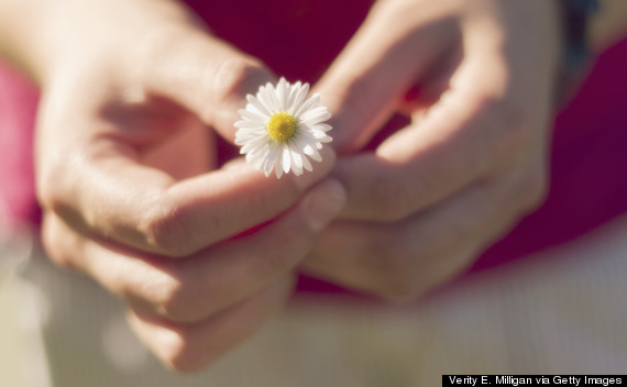 daisy hand