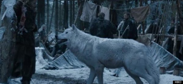 direwolf hbo