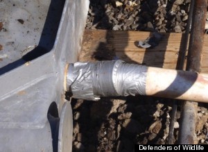 duct tape oil pipe
