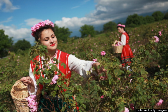 rose valley bulgaria