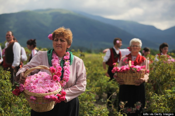 rose valley bulgaria