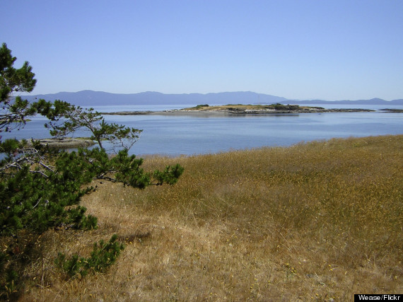 hornby island canada