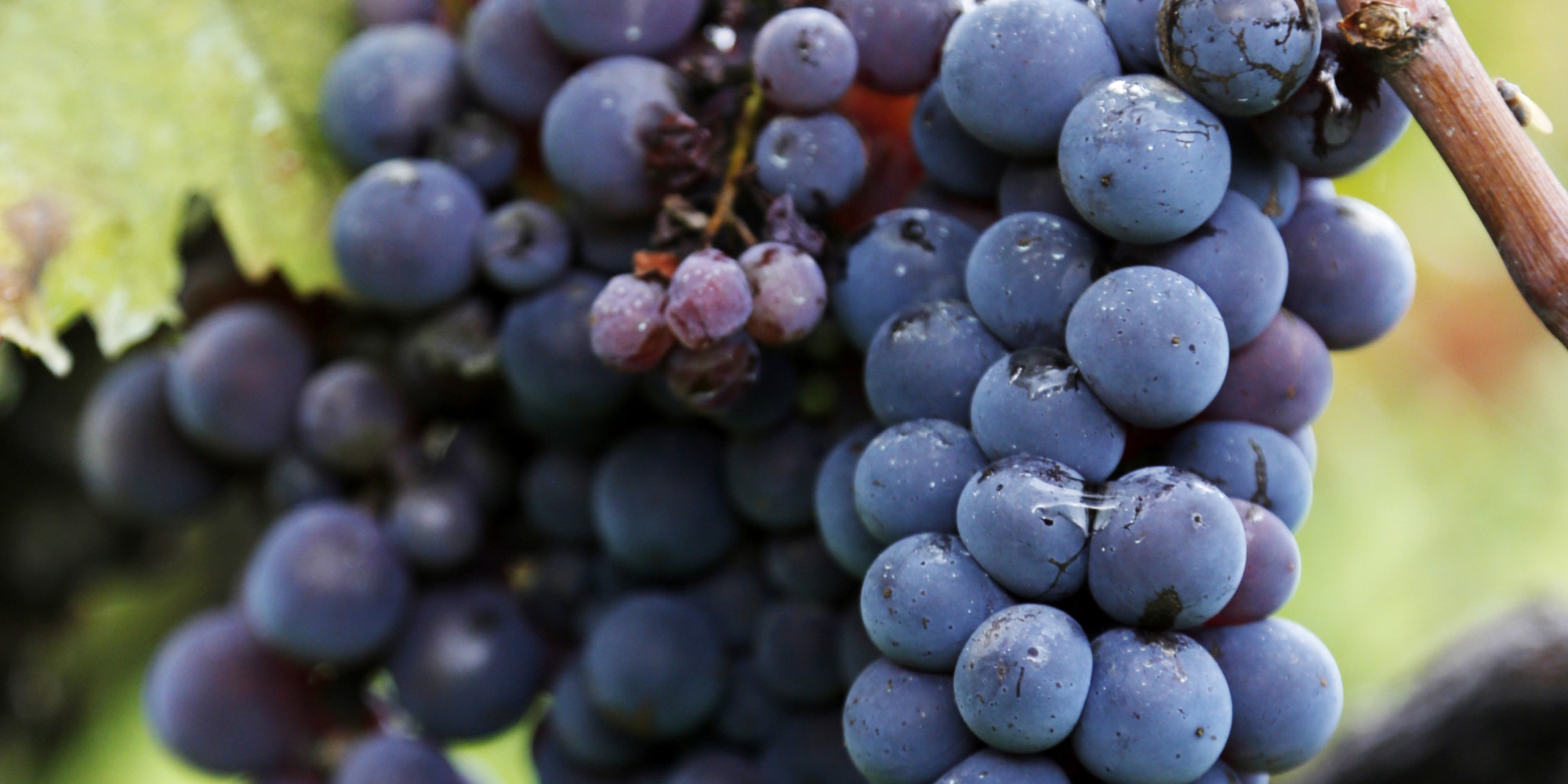 Eating Grapes May Protect Your Eye Health, Research Finds | HuffPost UK