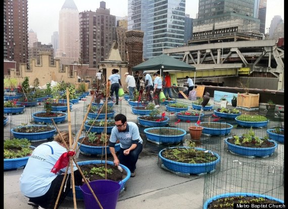 urban garden project