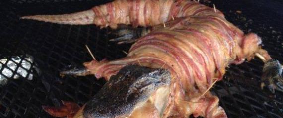 This Is What A Bacon-Wrapped Alligator With A Chicken In Its Mouth ...