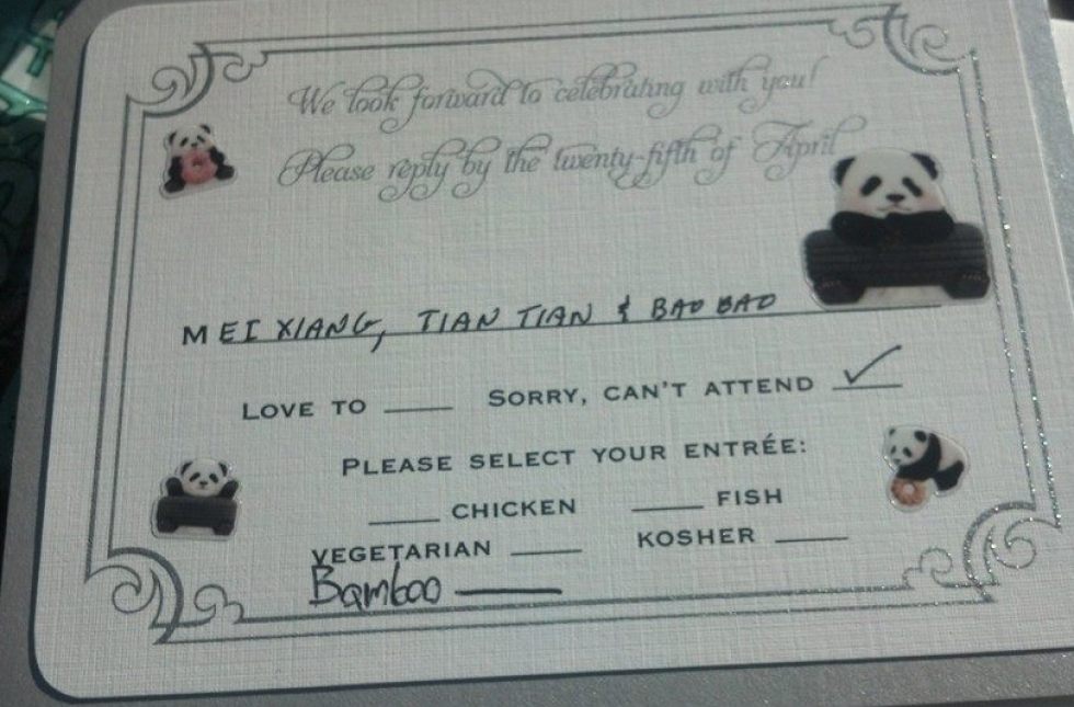 panda rsvp card