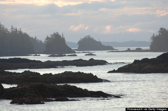 pacific rim national park