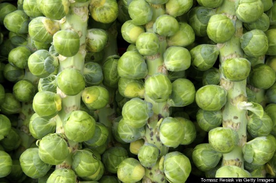 brussel sprouts