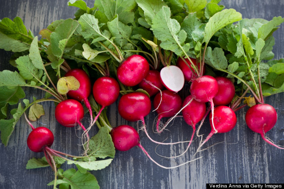 radish