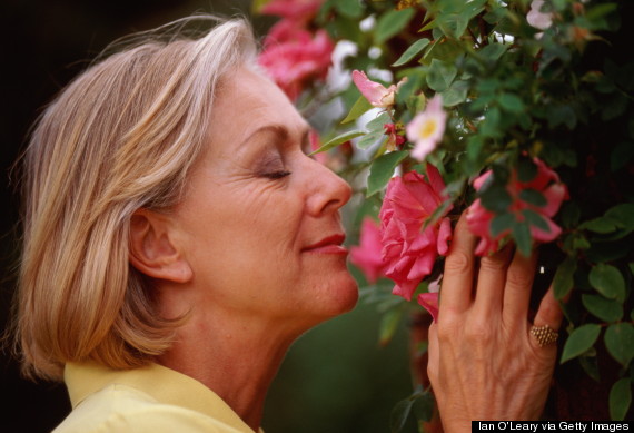 smelling garden