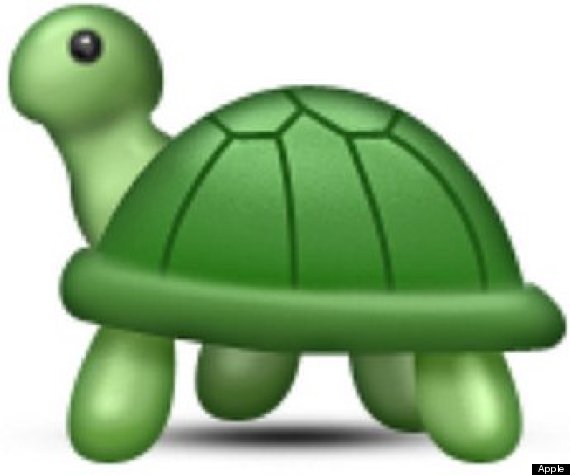 turtle