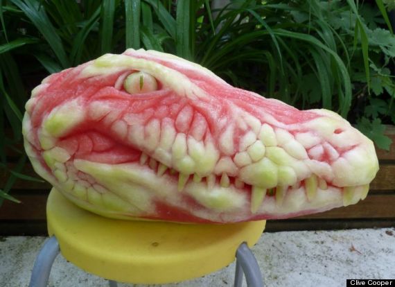 alligator watermelon
