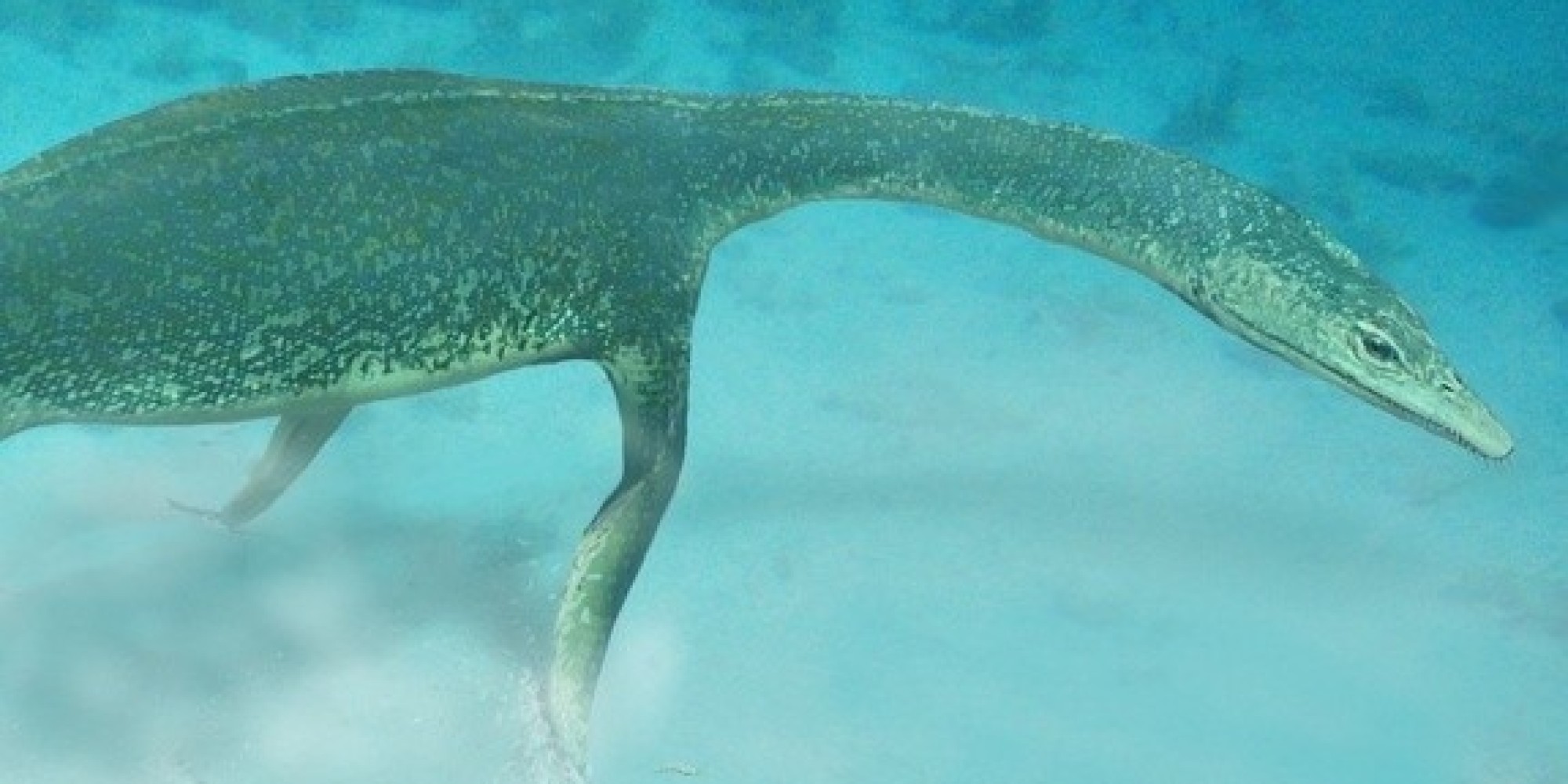 Ancient Track Marks Settle Debate Over Way 'Sea Monster' Swam About ...