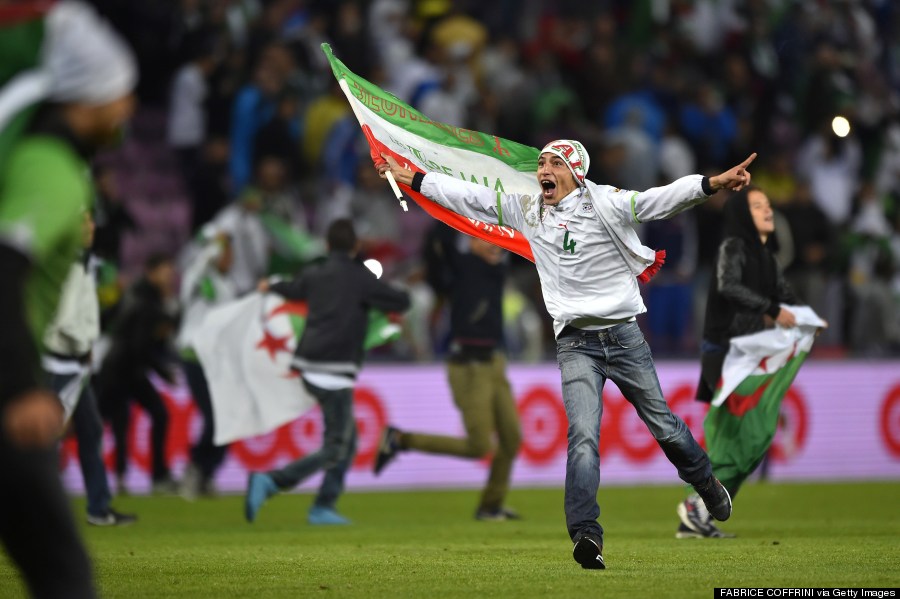 algeria fifa world cup fan