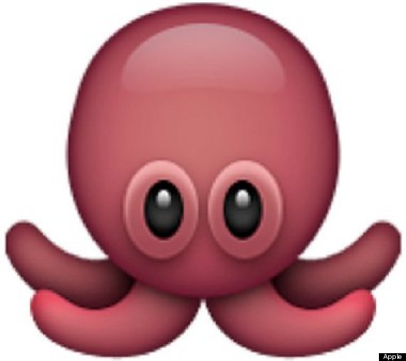 octopus