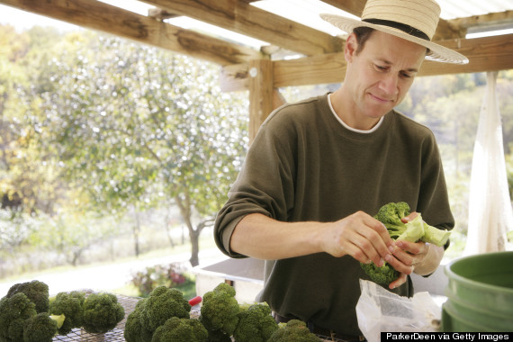 farmers market