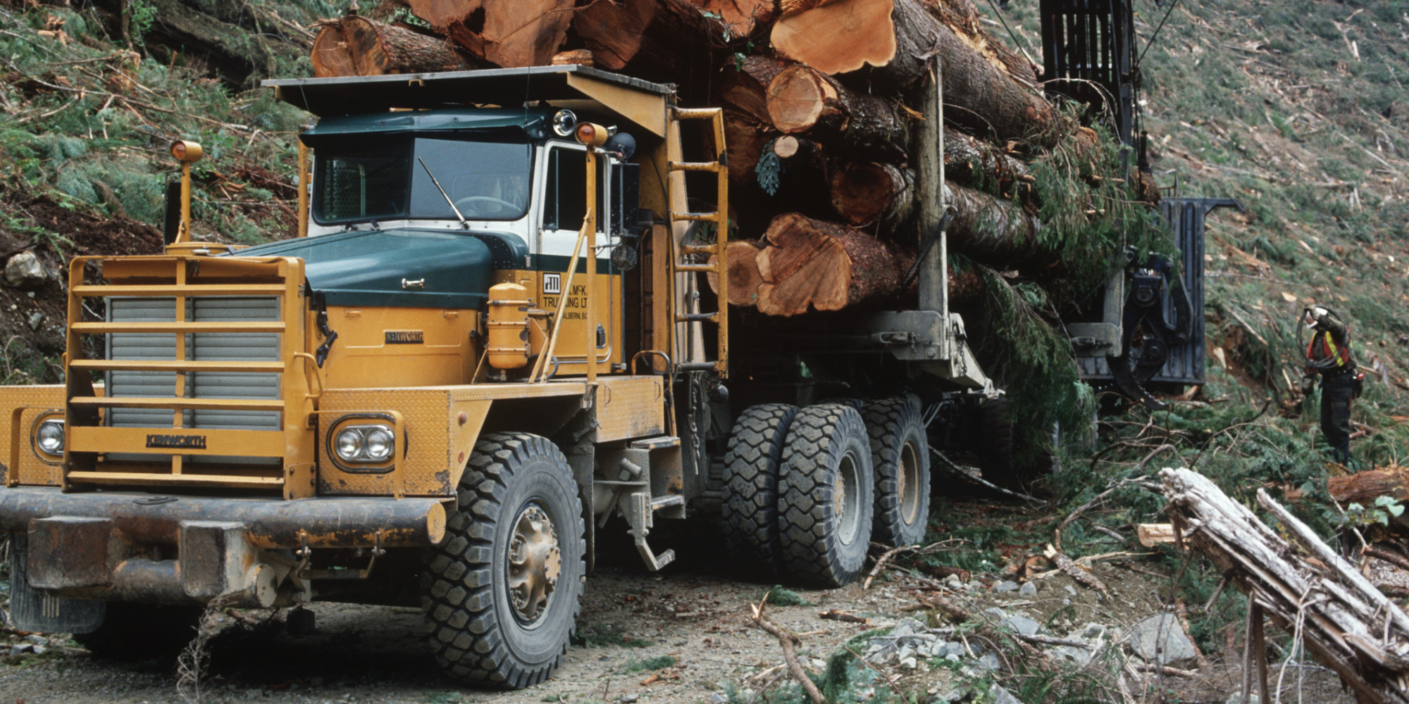 Gitxsan First Nation Evicts CN Rail, Logging Companies From Its Land