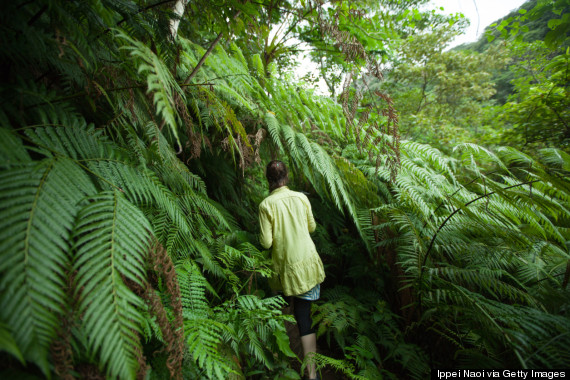 island hike