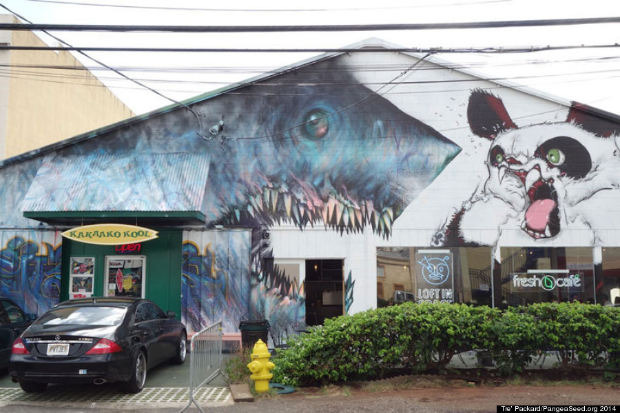 shark toof honolulu