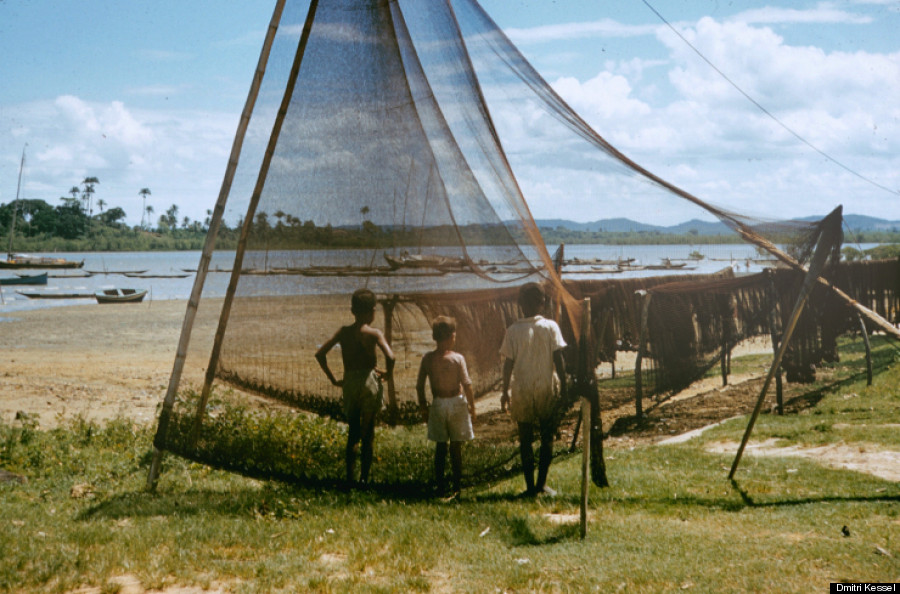 brazil 1950skids by water