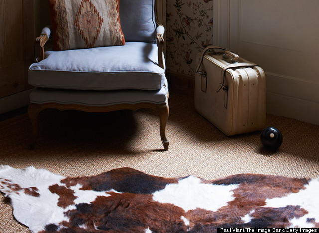 cowhide over rug