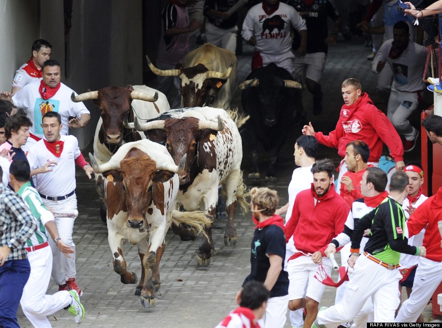 bull run pamplona