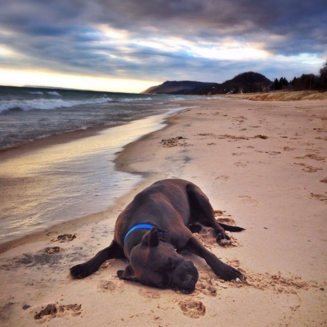 michigan beach