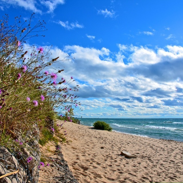 michigan beaches