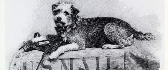 owney