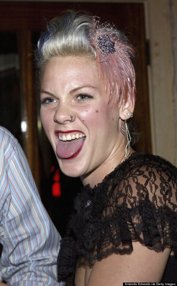 pink singer 2005