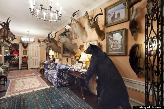 taxidermy