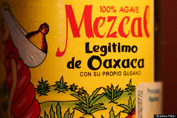 mezcal