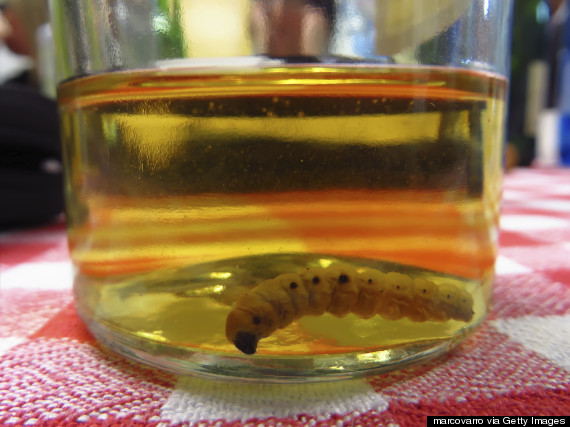 worm alcohol