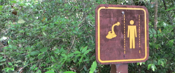 snake sign