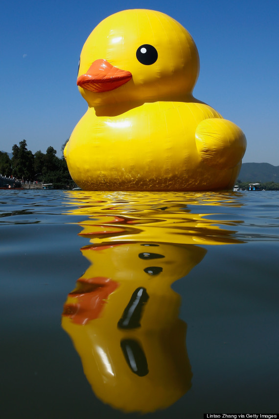 giant rubber duck