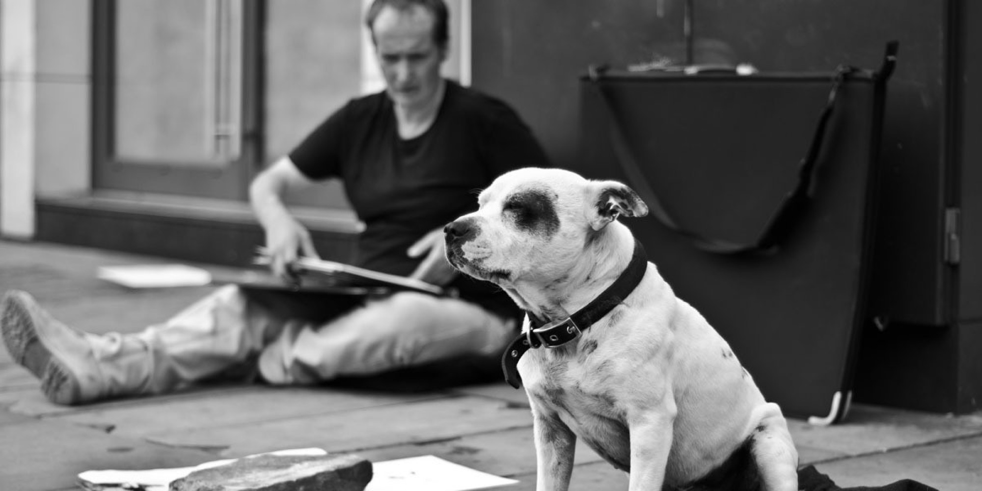 Homeless Man Who Sold Sketches Of Dog Now Has Own Art Show, Credits His ...